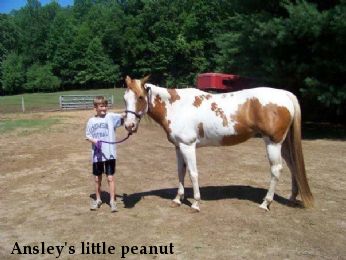 Ansley's little peanut